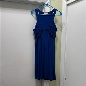 Calvin Klein Royal Blue Mini Dress